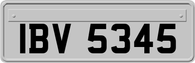 IBV5345