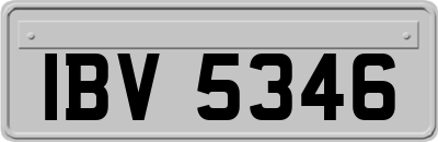 IBV5346