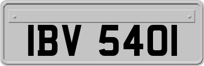 IBV5401