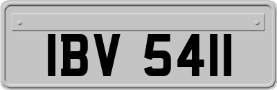 IBV5411