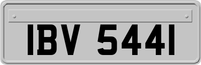 IBV5441