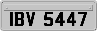 IBV5447