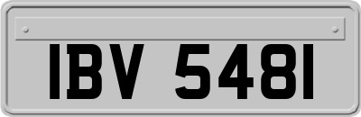 IBV5481