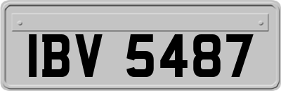 IBV5487