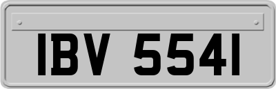 IBV5541