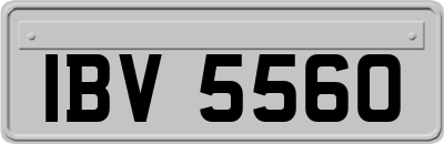 IBV5560