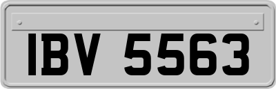 IBV5563