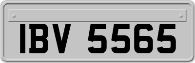 IBV5565