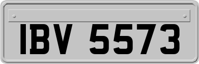 IBV5573