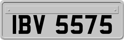 IBV5575