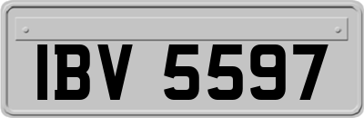 IBV5597
