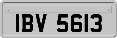 IBV5613