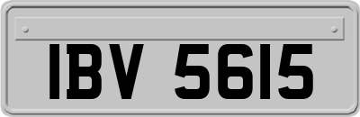 IBV5615