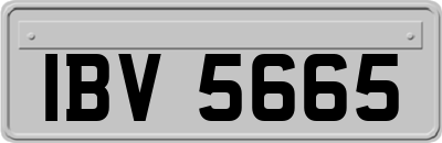 IBV5665
