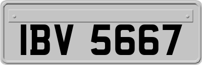 IBV5667