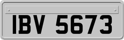IBV5673