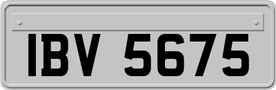 IBV5675