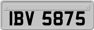 IBV5875