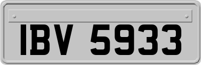 IBV5933