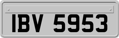 IBV5953