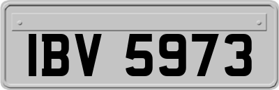 IBV5973