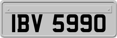 IBV5990