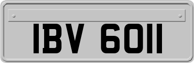 IBV6011