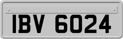 IBV6024