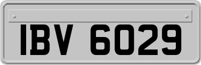 IBV6029