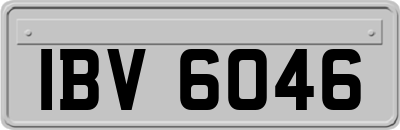 IBV6046