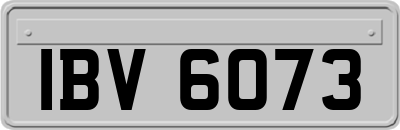 IBV6073