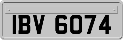 IBV6074