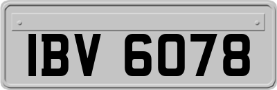 IBV6078