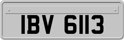 IBV6113
