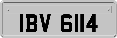 IBV6114