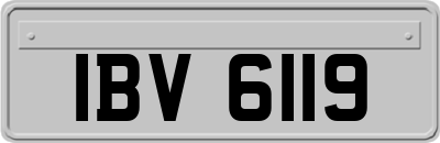 IBV6119