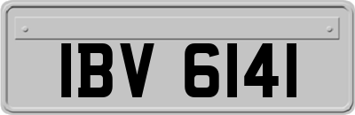 IBV6141