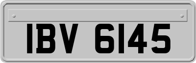 IBV6145