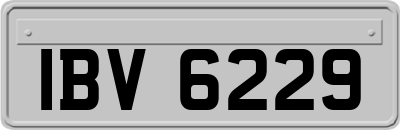 IBV6229