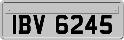 IBV6245