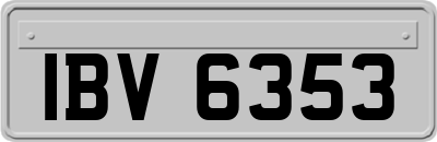 IBV6353