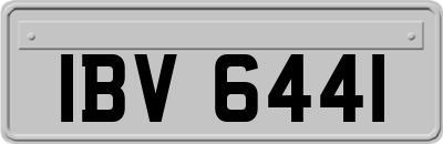 IBV6441