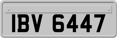 IBV6447