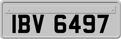 IBV6497