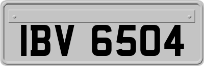 IBV6504