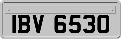 IBV6530