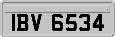 IBV6534