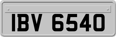 IBV6540