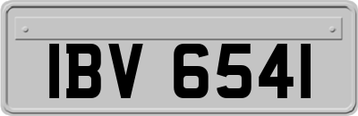 IBV6541