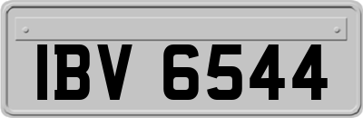 IBV6544